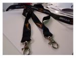lanyard LBS